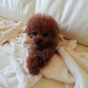 ヒメ日記 2025/01/11 10:08 投稿 永野みかさ プランタン大塚