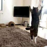 ヒメ日記 2025/01/28 07:15 投稿 永野みかさ プランタン大塚