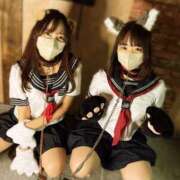 ヒメ日記 2025/04/10 05:45 投稿 ももか Noble