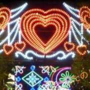 ヒメ日記 2024/12/17 09:42 投稿 ちか sakura