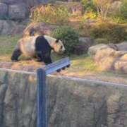 ヒメ日記 2025/01/17 16:03 投稿 結城まこと 淫乱OL派遣商社 斉藤商事