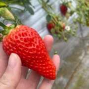 ヒメ日記 2025/03/13 21:36 投稿 結城まこと 淫乱OL派遣商社 斉藤商事