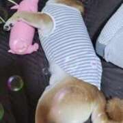 ヒメ日記 2025/06/03 17:33 投稿 ちひろ 素人ぶっかけ〇〇取手店