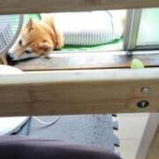 ヒメ日記 2025/06/08 11:33 投稿 ちひろ 素人ぶっかけ〇〇取手店