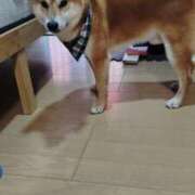 ヒメ日記 2025/06/23 16:35 投稿 ちひろ 素人ぶっかけ〇〇取手店