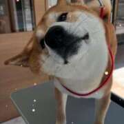 ヒメ日記 2025/07/31 10:38 投稿 ちひろ 素人ぶっかけ〇〇取手店