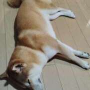 ヒメ日記 2025/09/21 11:17 投稿 ちひろ 素人ぶっかけ〇〇取手店