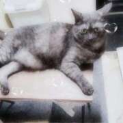 ヒメ日記 2025/10/02 11:20 投稿 ちひろ 素人ぶっかけ〇〇取手店