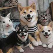 ヒメ日記 2026/03/09 17:34 投稿 ちひろ 素人ぶっかけ〇〇取手店