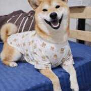 ヒメ日記 2026/03/11 11:49 投稿 ちひろ 素人ぶっかけ〇〇取手店