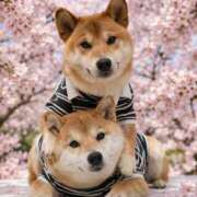 ヒメ日記 2026/03/30 11:41 投稿 ちひろ 素人ぶっかけ〇〇取手店