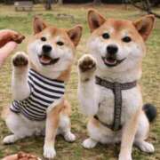 ヒメ日記 2026/04/05 08:39 投稿 ちひろ 素人ぶっかけ〇〇取手店