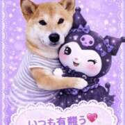 ヒメ日記 2026/04/12 09:36 投稿 ちひろ 素人ぶっかけ〇〇取手店