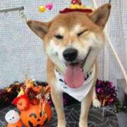 ちひろ 可愛いでしょ💖💖 素人ぶっかけ〇〇取手店