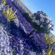 ヒメ日記 2026/03/28 19:28 投稿 えま マドンナSANSAIN