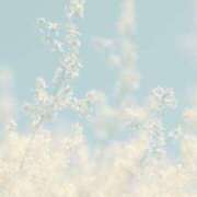 えま 本日家庭の事情で マドンナSANSAIN