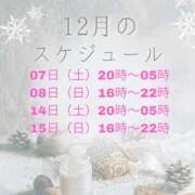 ヒメ日記 2024/11/26 12:18 投稿 桜庭　まさき NADIA東京新橋店