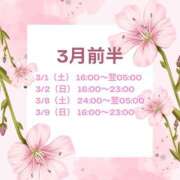 ヒメ日記 2025/02/28 12:15 投稿 桜庭　まさき NADIA東京新橋店