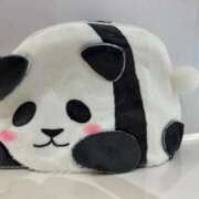 ヒメ日記 2025/04/16 19:00 投稿 桜庭　まさき NADIA東京新橋店