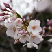 ヒメ日記 2025/04/03 09:16 投稿 まさこ 素人ぶっかけ〇〇取手店