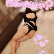 ヒメ日記 2025/01/24 14:15 投稿 くれは ぷるるん小町日本橋店