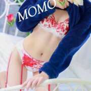 ヒメ日記 2025/01/10 13:33 投稿 もも チューリップ熊本店