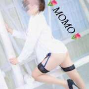 ヒメ日記 2025/01/11 00:51 投稿 もも チューリップ熊本店