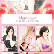 ヒメ日記 2025/01/11 09:45 投稿 もも チューリップ熊本店