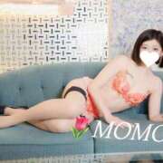 ヒメ日記 2025/01/23 07:11 投稿 もも チューリップ熊本店