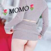 ヒメ日記 2025/01/24 15:52 投稿 もも チューリップ熊本店