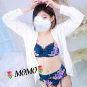 ヒメ日記 2025/03/12 17:22 投稿 もも チューリップ熊本店