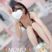 ヒメ日記 2025/03/15 05:21 投稿 もも チューリップ熊本店