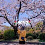 ヒメ日記 2025/03/19 07:21 投稿 もも チューリップ熊本店