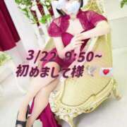 ヒメ日記 2025/03/23 23:31 投稿 もも チューリップ熊本店