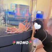 ヒメ日記 2025/03/28 11:41 投稿 もも チューリップ熊本店