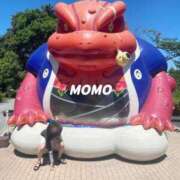 ヒメ日記 2025/04/06 05:31 投稿 もも チューリップ熊本店