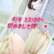 ヒメ日記 2025/04/07 02:01 投稿 もも チューリップ熊本店