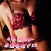 ヒメ日記 2025/04/08 01:51 投稿 もも チューリップ熊本店