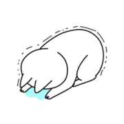 ヒメ日記 2025/04/20 13:45 投稿 もも チューリップ熊本店