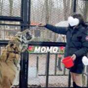 ヒメ日記 2025/05/29 15:21 投稿 もも チューリップ熊本店