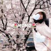 ヒメ日記 2025/06/18 07:41 投稿 もも チューリップ熊本店