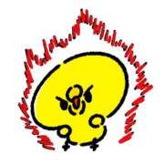 ヒメ日記 2025/06/18 20:41 投稿 もも チューリップ熊本店