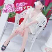 ヒメ日記 2025/07/01 09:40 投稿 もも チューリップ熊本店