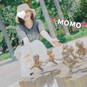 ヒメ日記 2025/07/14 19:20 投稿 もも チューリップ熊本店