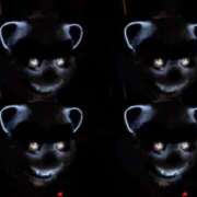 ヒメ日記 2025/10/02 16:50 投稿 もも チューリップ熊本店