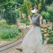 ヒメ日記 2025/11/12 13:50 投稿 もも チューリップ熊本店