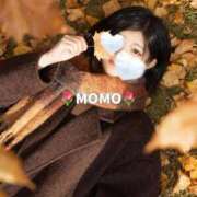 ヒメ日記 2025/11/21 20:20 投稿 もも チューリップ熊本店