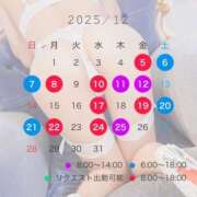 ヒメ日記 2025/11/27 12:20 投稿 もも チューリップ熊本店