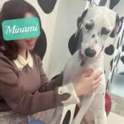 ヒメ日記 2026/02/08 23:58 投稿 みなみ ノーパンエステ!?絶頂させる天使たち