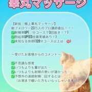 ヒメ日記 2026/08/22 21:28 投稿 みなみ ノーパンエステ!?絶頂させる天使たち